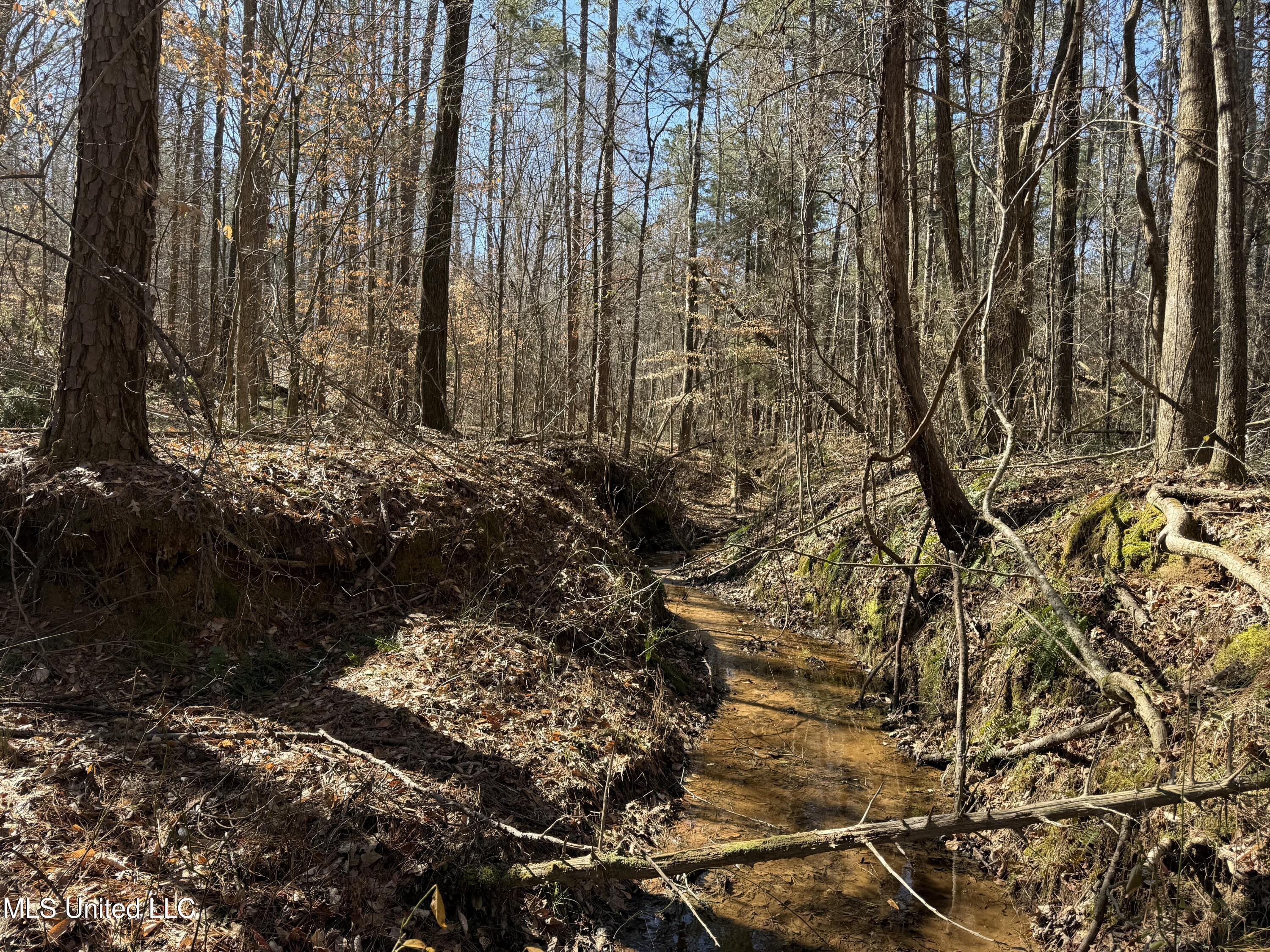 186 County Road Coffeeville, MS 38922 - Photo 16 of 26 IMG_9921