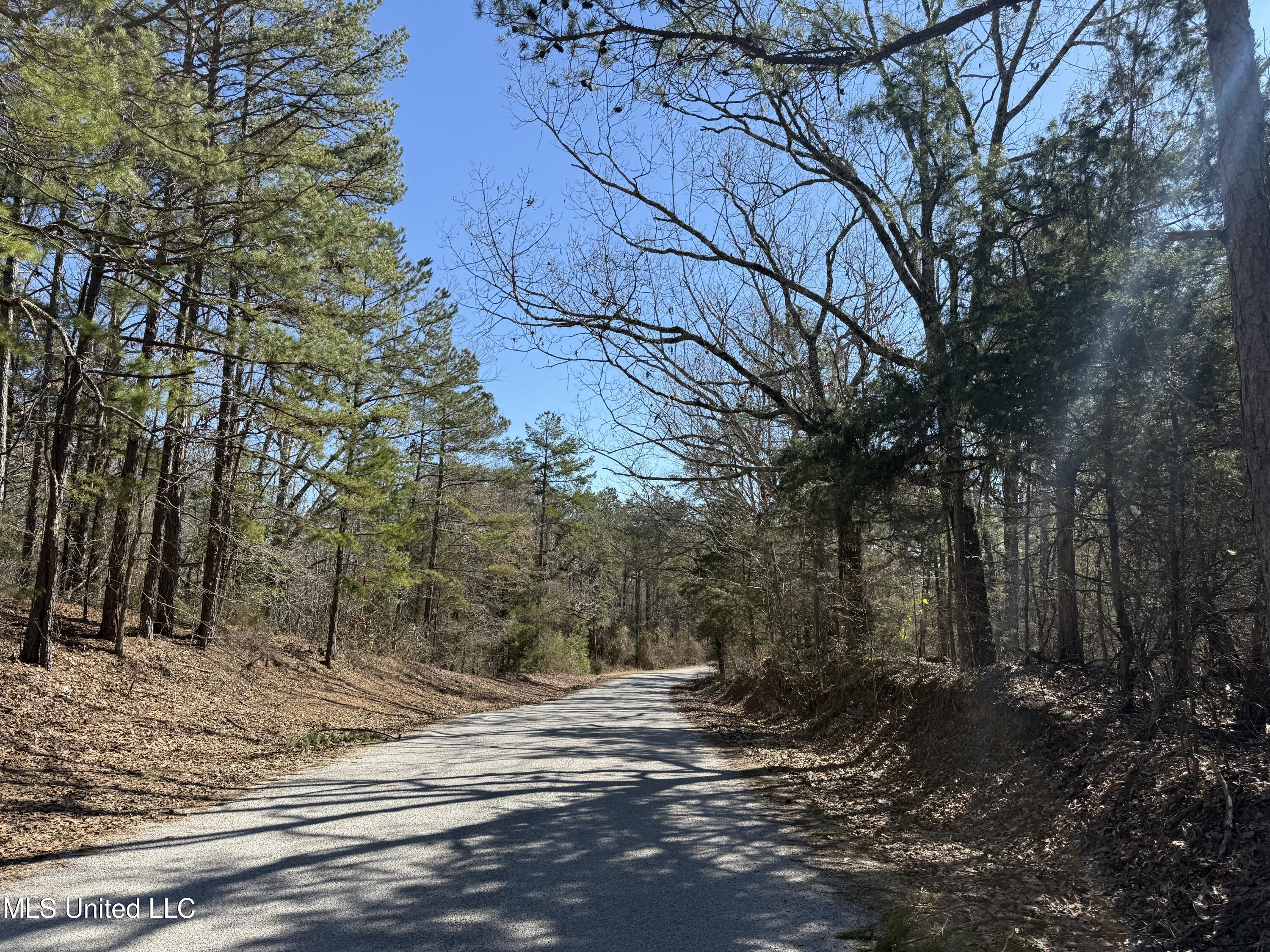 186 County Road Coffeeville, MS 38922 - Photo 17 of 26 IMG_9890