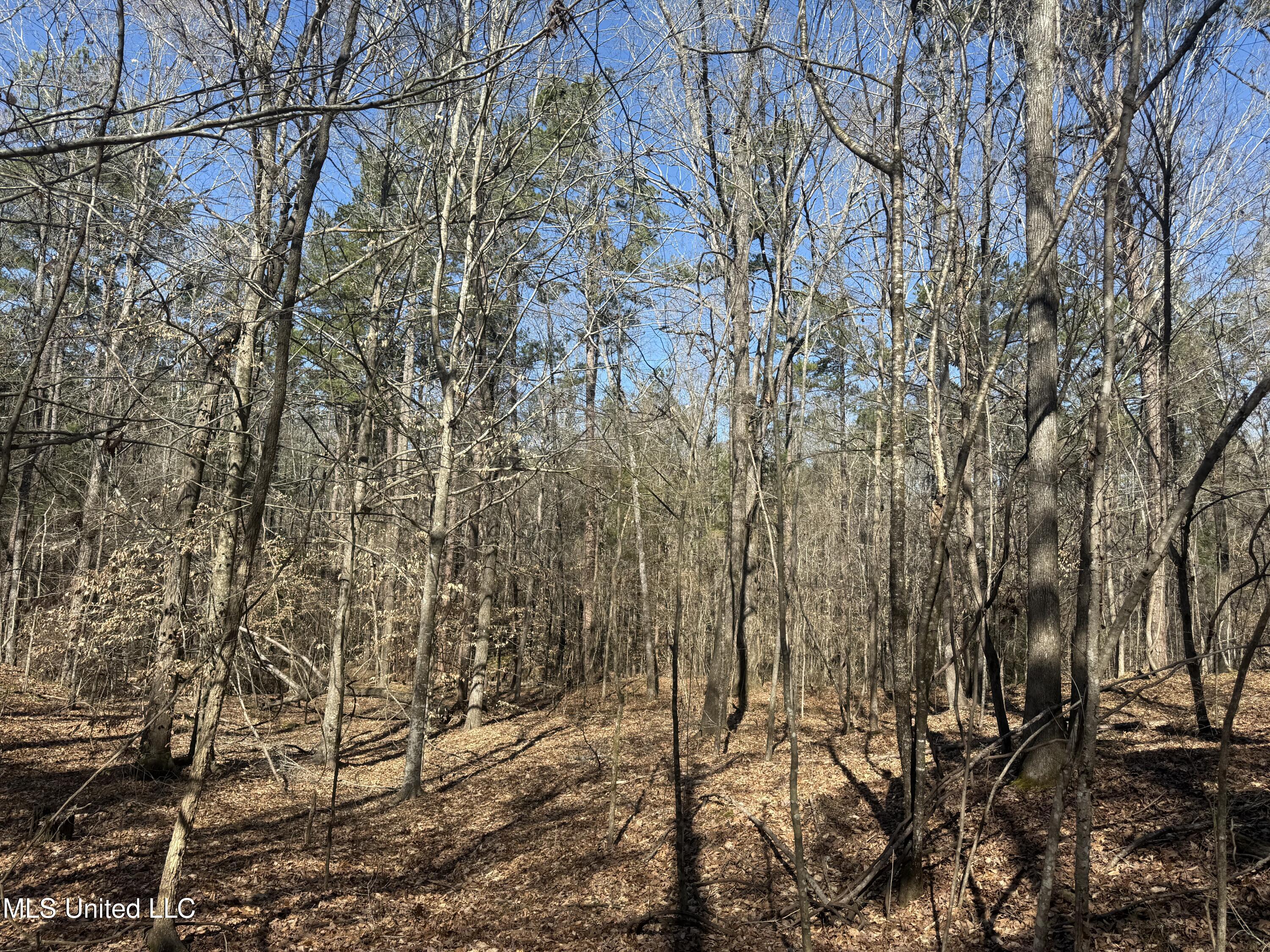 186 County Road Coffeeville, MS 38922 - Photo 18 of 26 IMG_9924