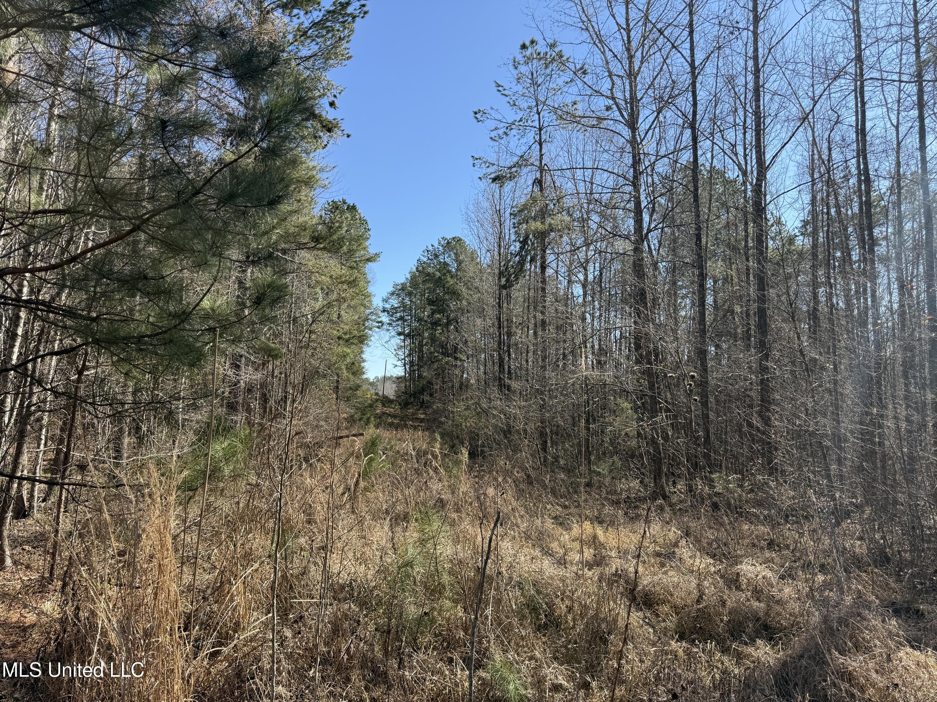 186 County Road Coffeeville, MS 38922 - Photo 20 of 26 IMG_9908