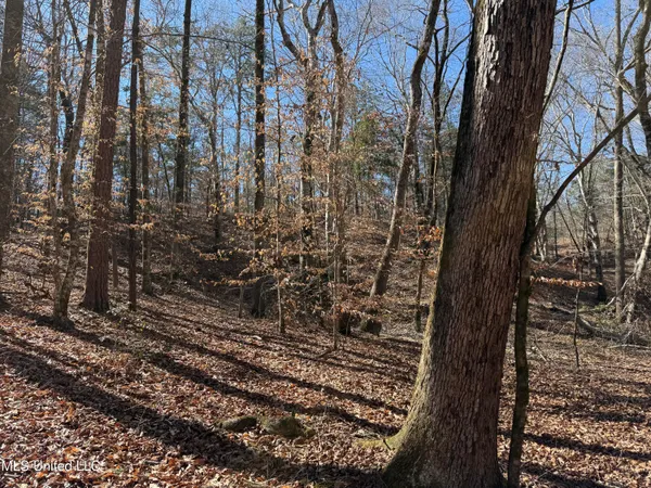 $179,000 | 186 County Road, Coffeeville, MS 38922