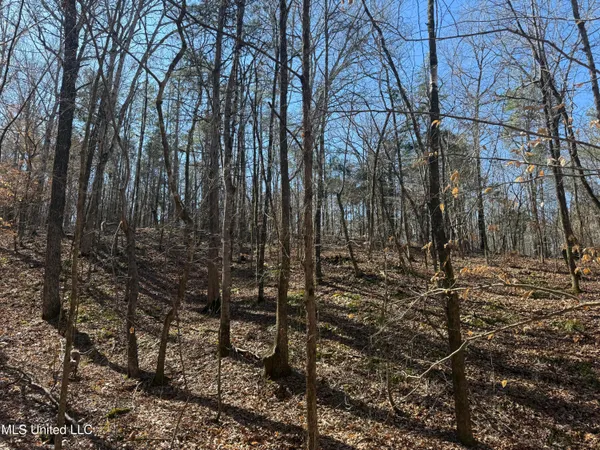 $179,000 | 186 County Road, Coffeeville, MS 38922