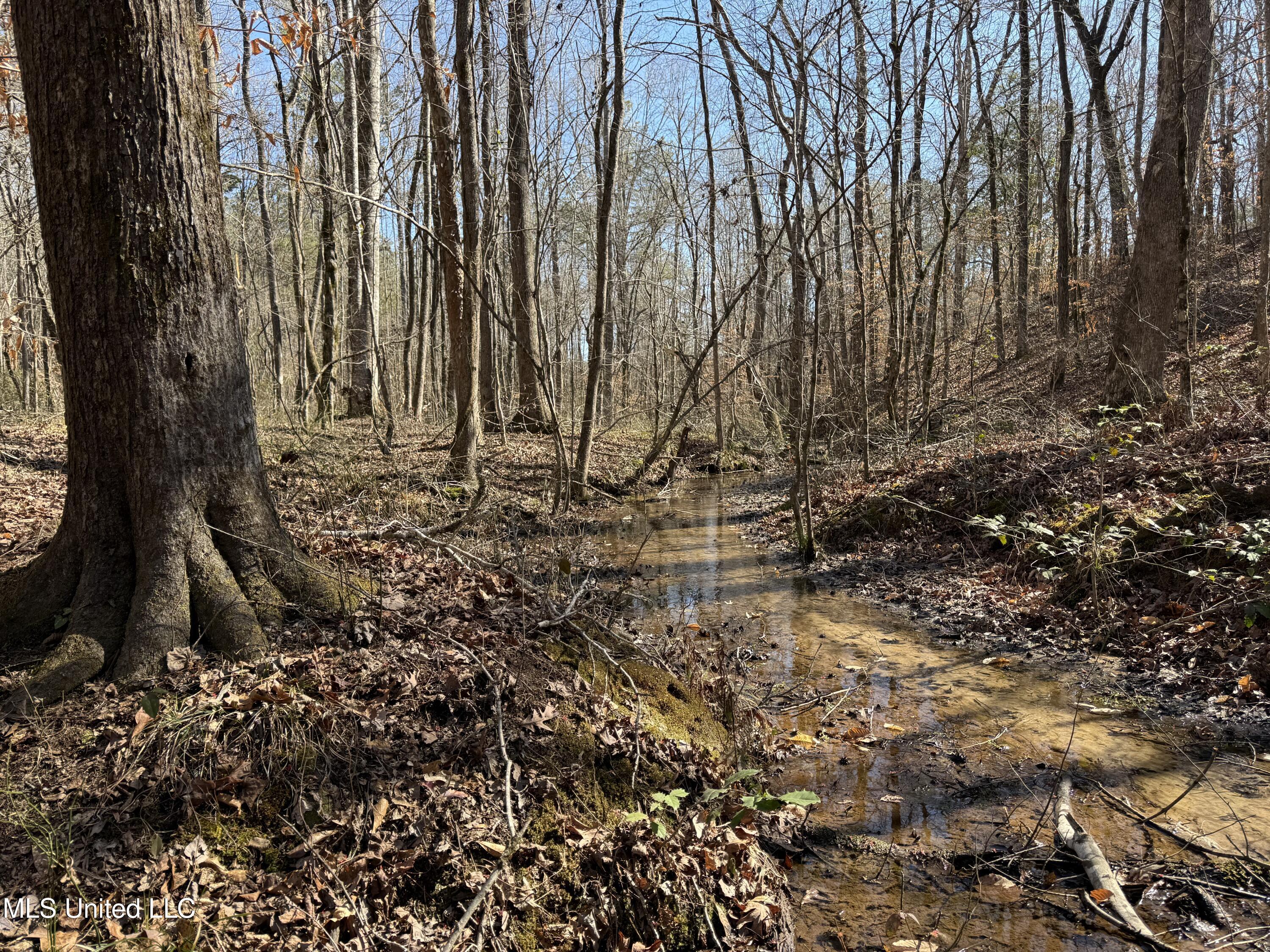 186 County Road Coffeeville, MS 38922 - Photo 22 of 26 IMG_9913