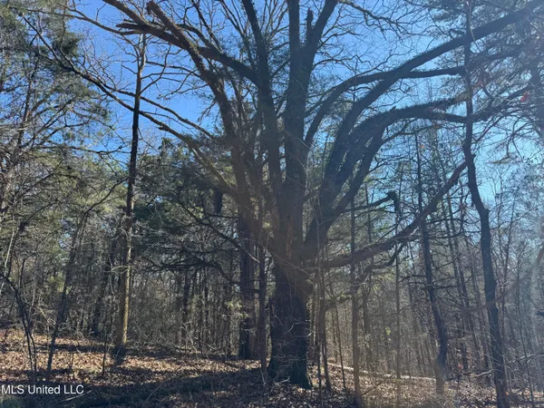 $179,000 | 186 County Road, Coffeeville, MS 38922