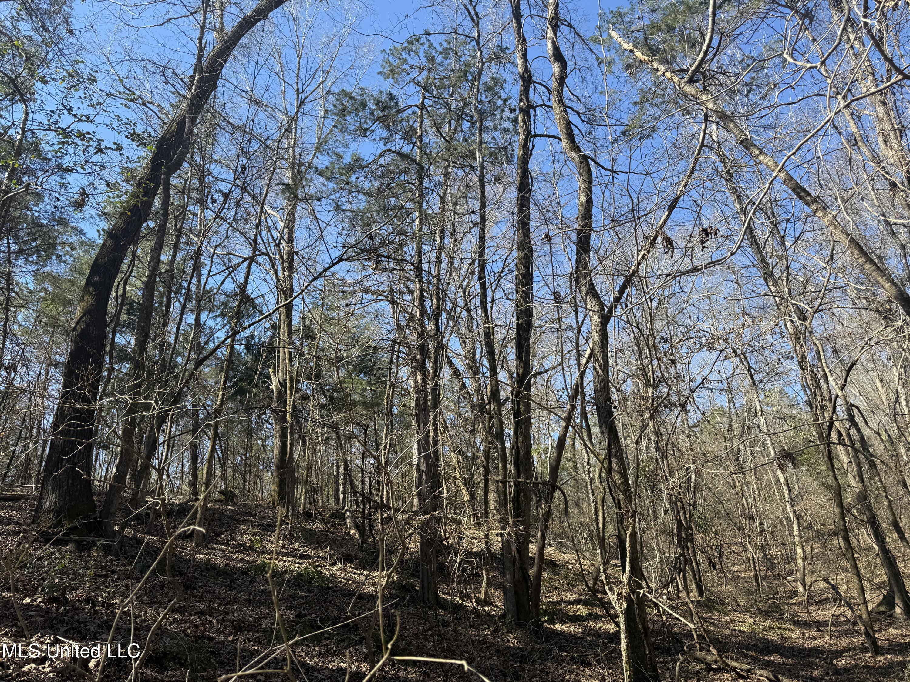 186 County Road Coffeeville, MS 38922 - Photo 24 of 26 IMG_9903