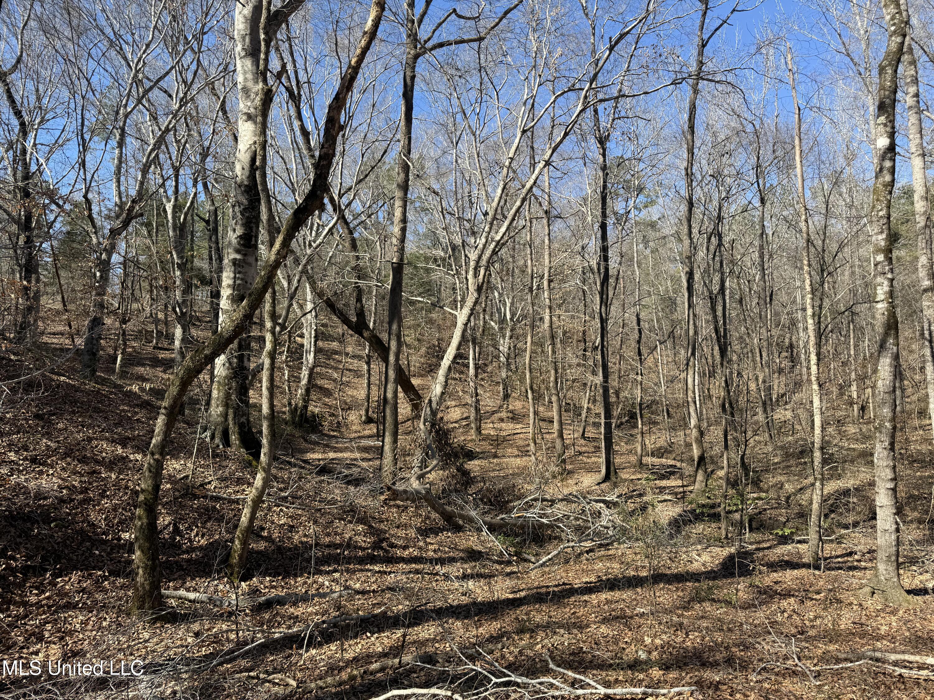 186 County Road Coffeeville, MS 38922 - Photo 25 of 26 IMG_9932