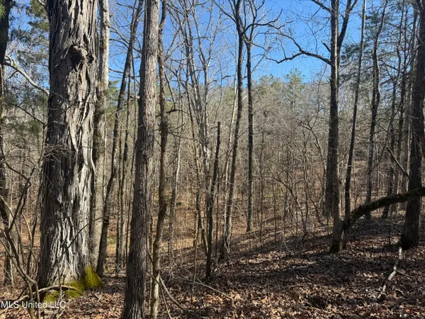 $179,000 | 186 County Road, Coffeeville, MS 38922
