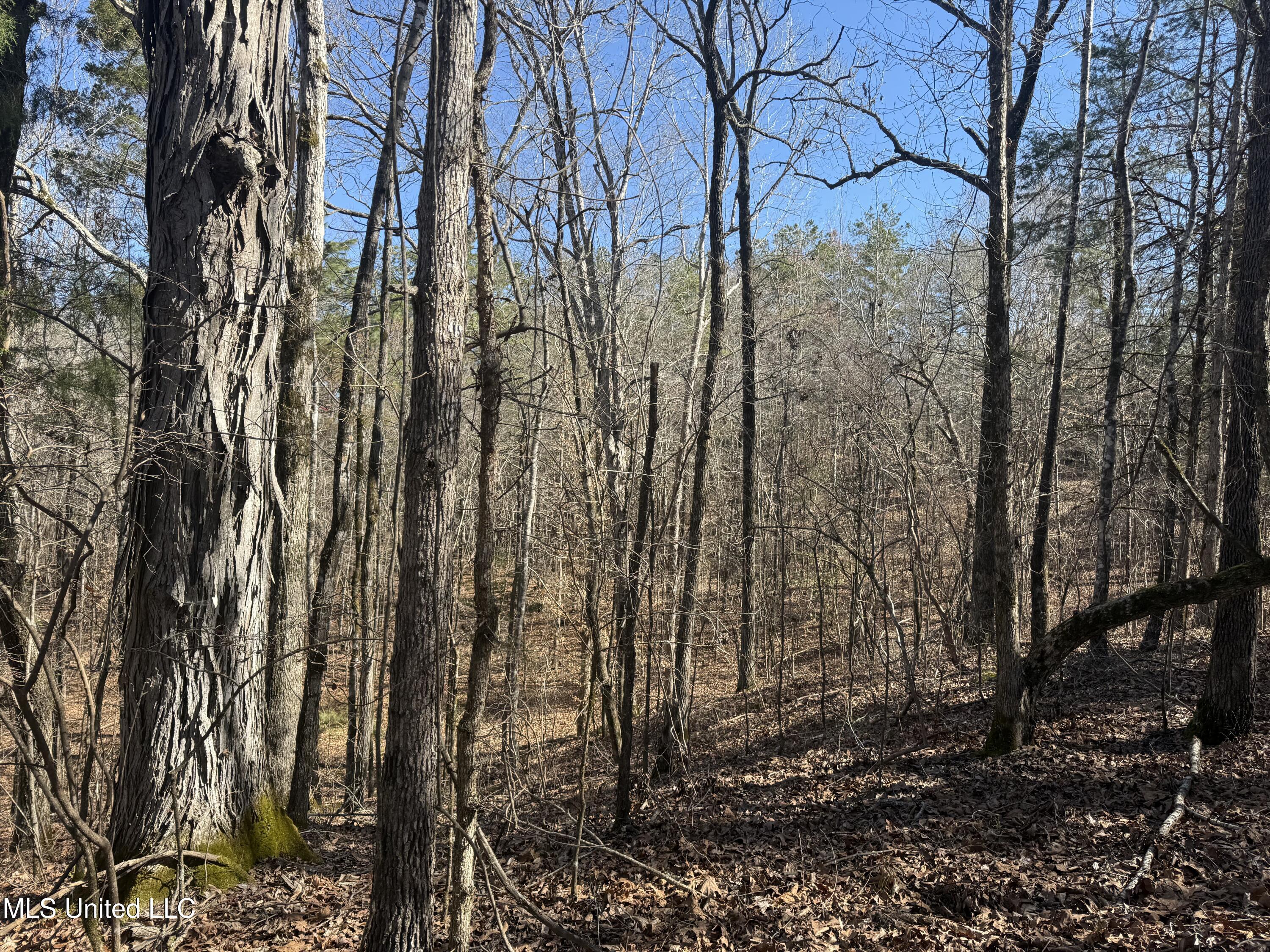 186 County Road Coffeeville, MS 38922 - Photo 26 of 26 IMG_9926