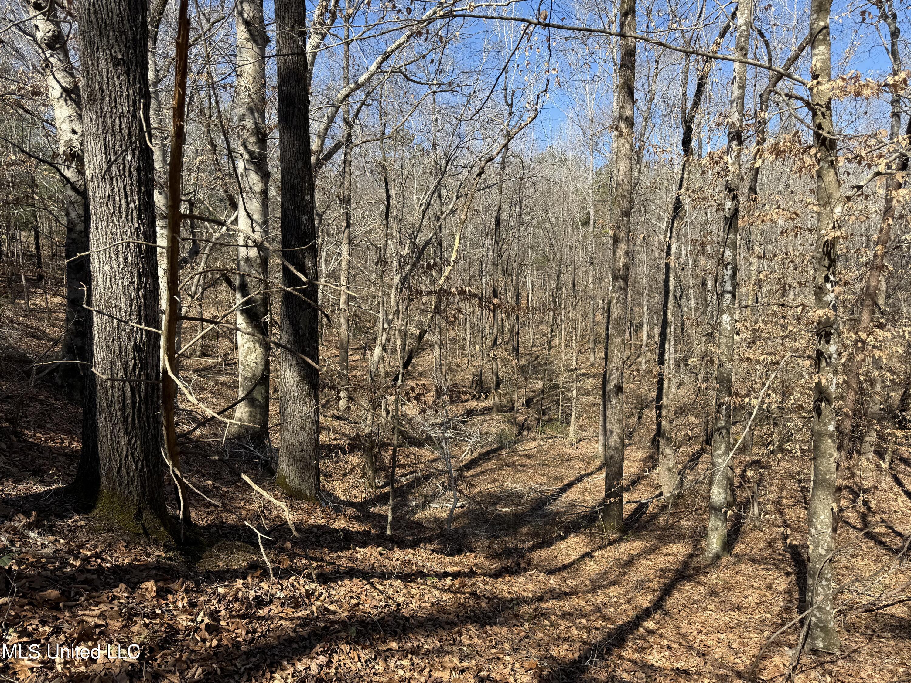 186 County Road Coffeeville, MS 38922 - Photo 3 of 26 IMG_9918