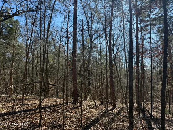 $179,000 | 186 County Road, Coffeeville, MS 38922
