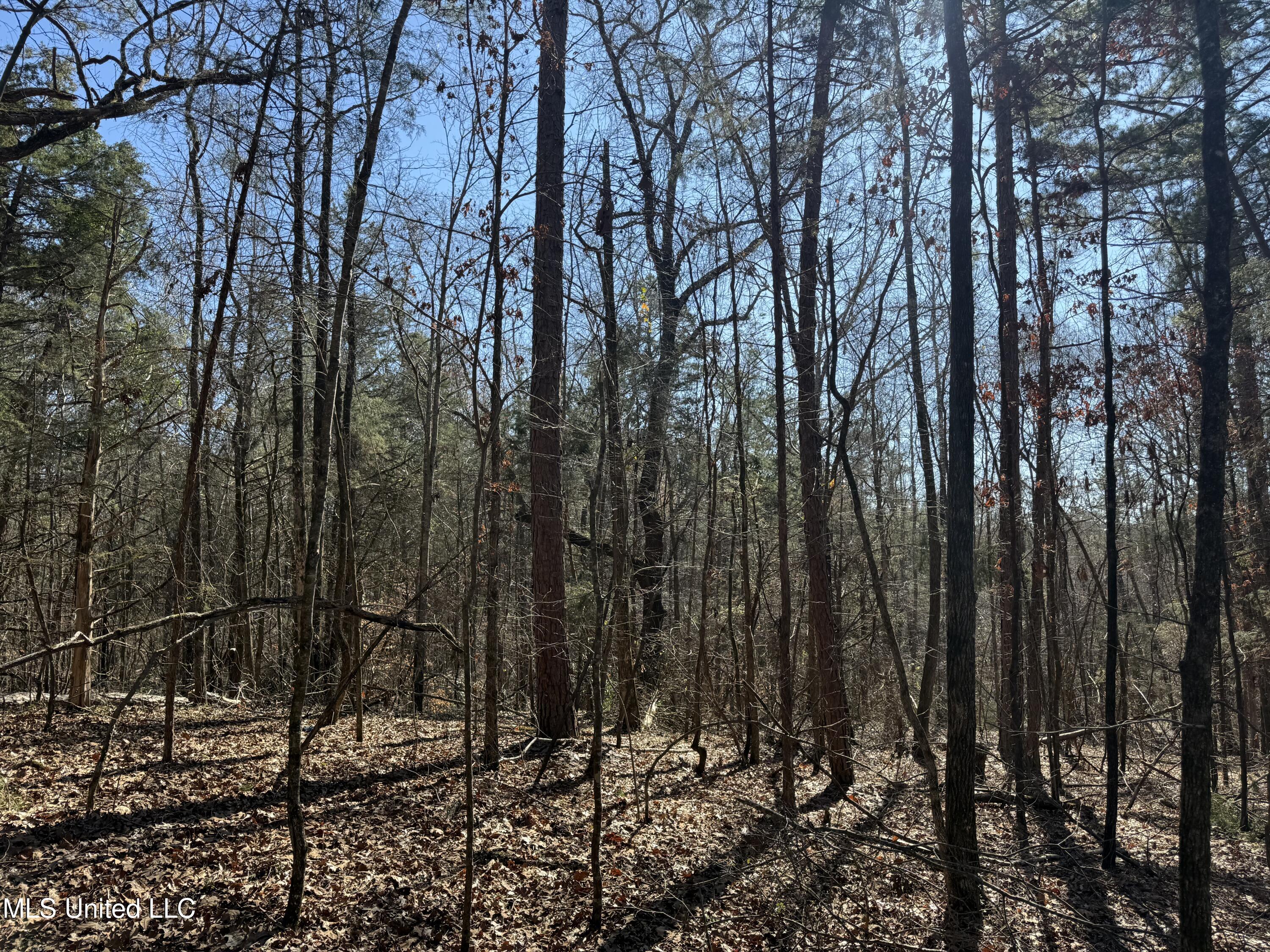 186 County Road Coffeeville, MS 38922 - Photo 4 of 26 IMG_9902