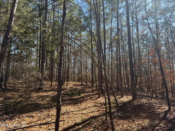 $179,000 | 186 County Road, Coffeeville, MS 38922