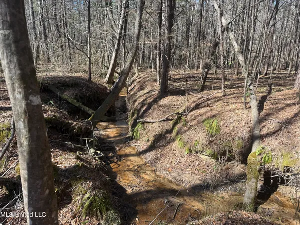 $179,000 | 186 County Road, Coffeeville, MS 38922