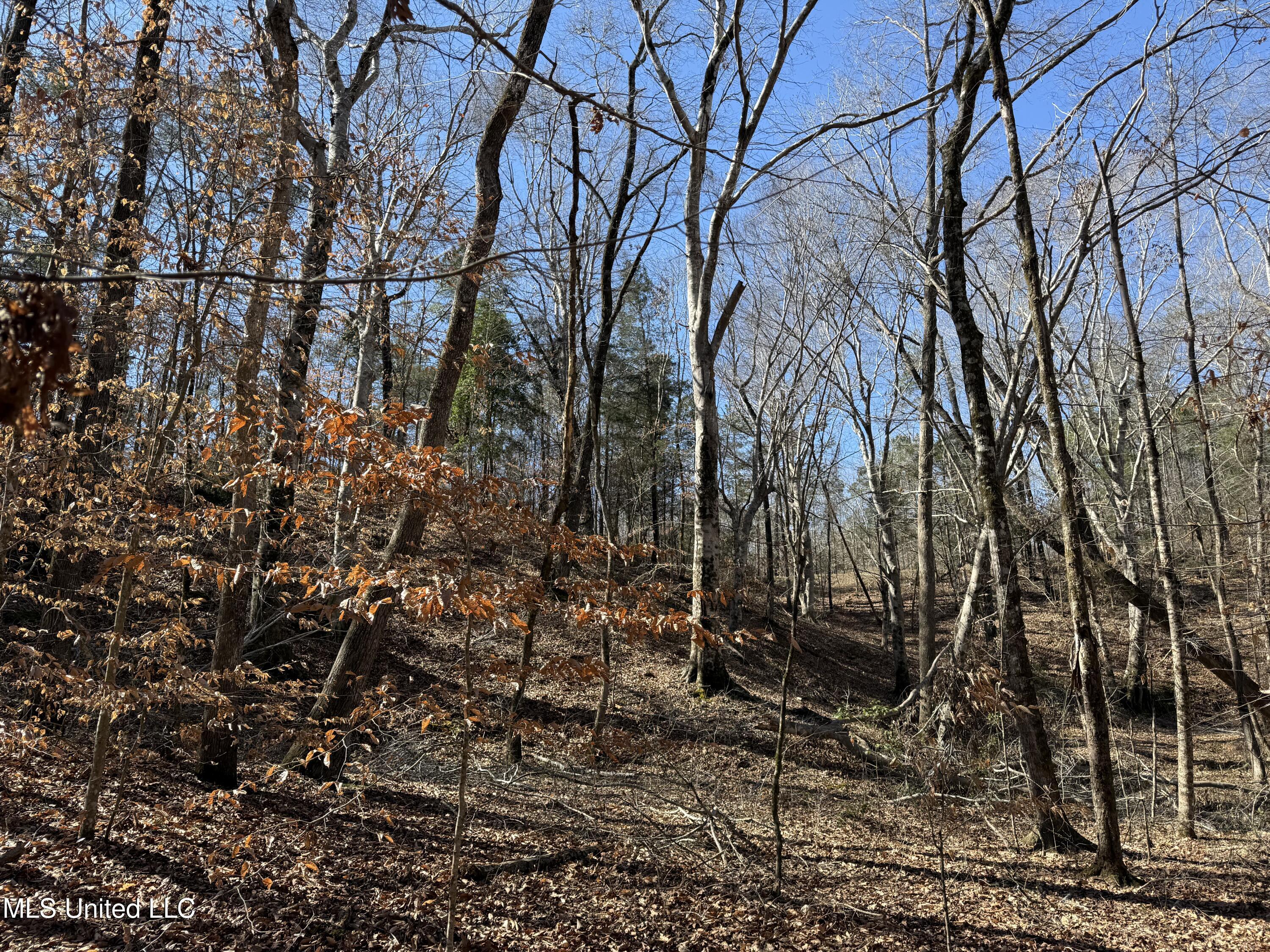 186 County Road Coffeeville, MS 38922 - Photo 7 of 26 IMG_9917