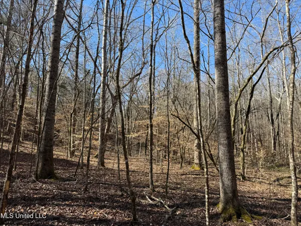 $179,000 | 186 County Road, Coffeeville, MS 38922