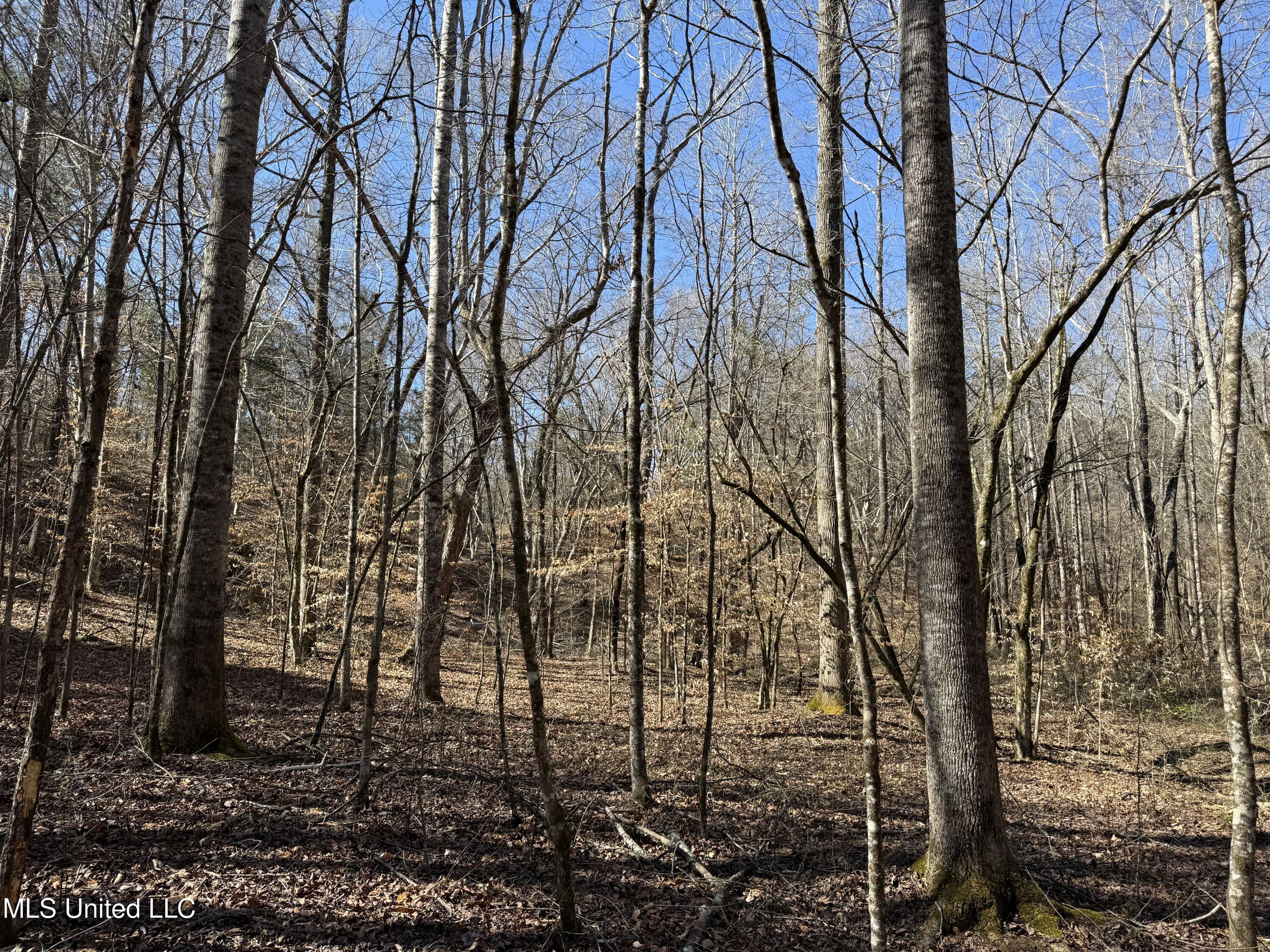 186 County Road Coffeeville, MS 38922 - Photo 8 of 26 IMG_9914