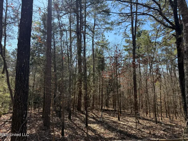 $179,000 | 186 County Road, Coffeeville, MS 38922