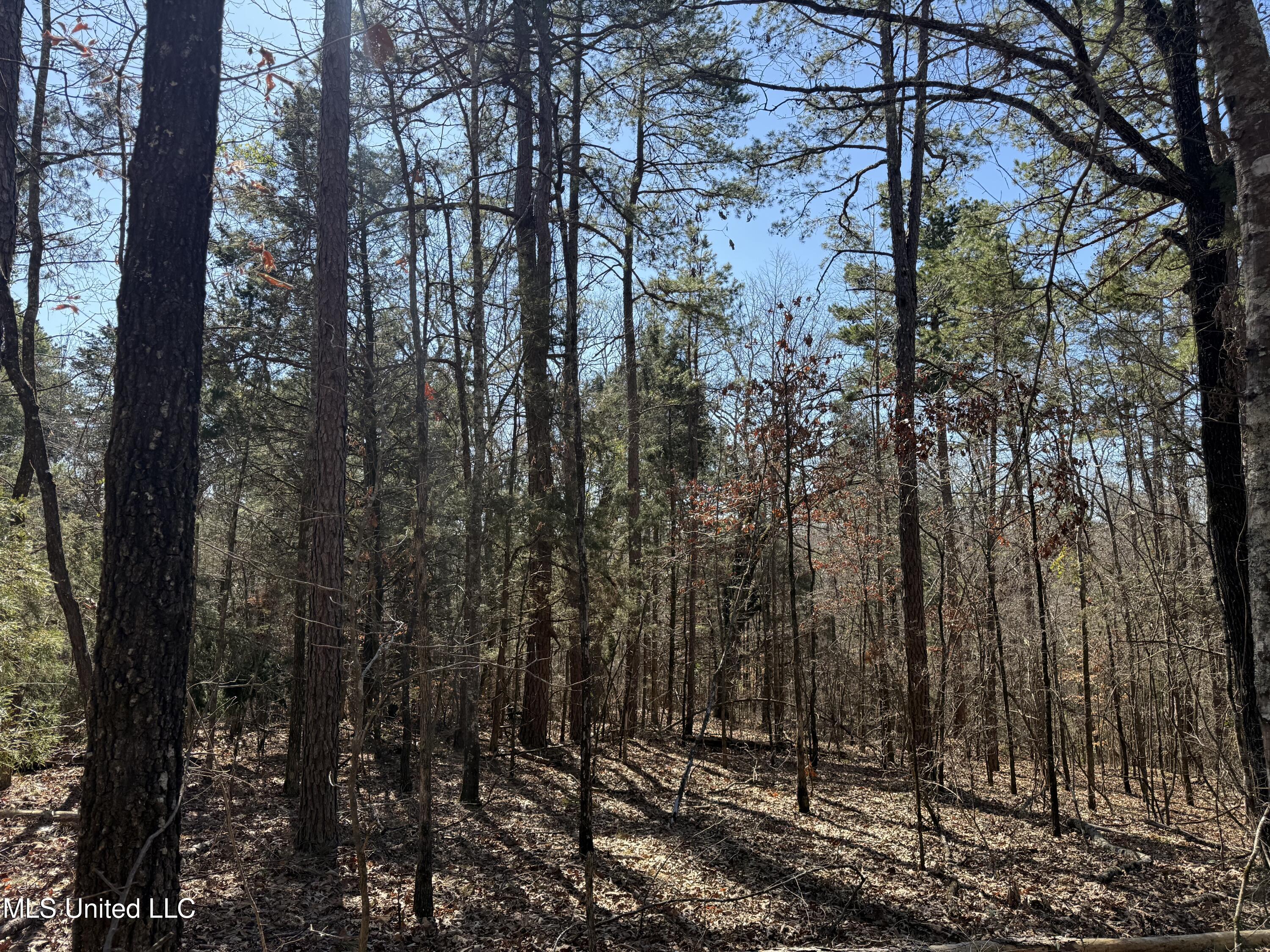 186 County Road Coffeeville, MS 38922 - Photo 9 of 26 IMG_9896