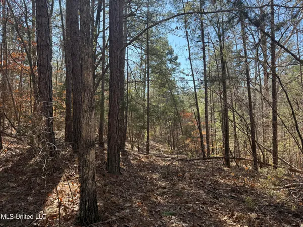 $179,000 | 186 County Road, Coffeeville, MS 38922