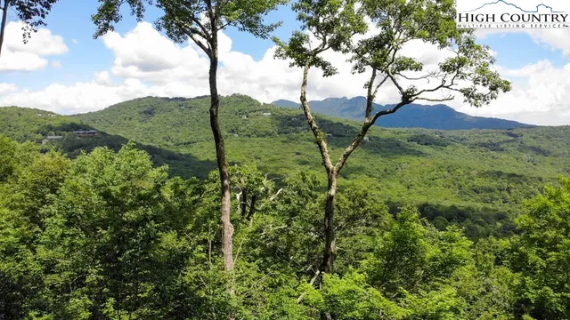 $1,500,000 | 1728 Forest Ridge Drive, Unit 17, Newland, NC 28657