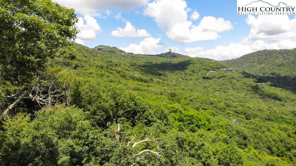 1728 Forest Ridge Drive, Unit 17 Newland, NC 28657 - Photo 2 of 9