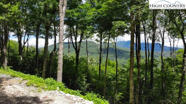 $1,500,000 | 1728 Forest Ridge Drive, Unit 17, Newland, NC 28657