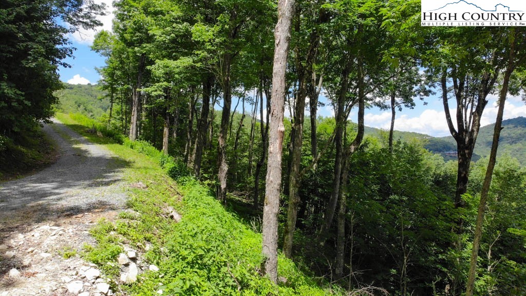 1728 Forest Ridge Drive, Unit 17 Newland, NC 28657 - Photo 4 of 9