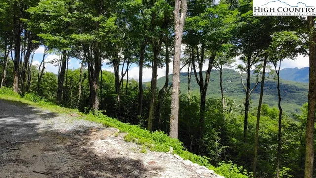 $1,500,000 | 1728 Forest Ridge Drive, Unit 17, Newland, NC 28657