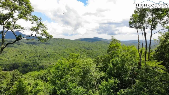 $1,500,000 | 1728 Forest Ridge Drive, Unit 17, Newland, NC 28657