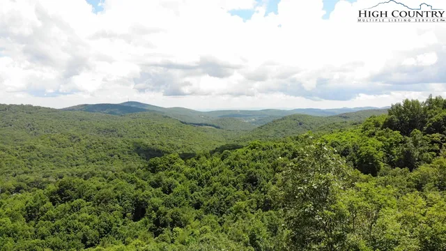 $1,500,000 | 1728 Forest Ridge Drive, Unit 17, Newland, NC 28657