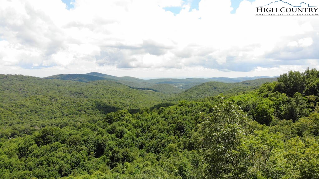 1728 Forest Ridge Drive, Unit 17 Newland, NC 28657 - Photo 7 of 9