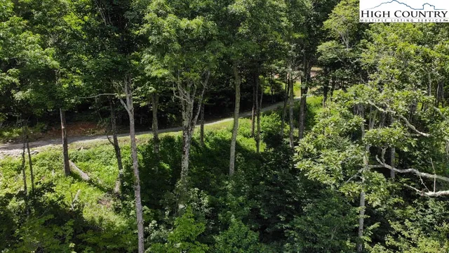 $1,500,000 | 1728 Forest Ridge Drive, Unit 17, Newland, NC 28657