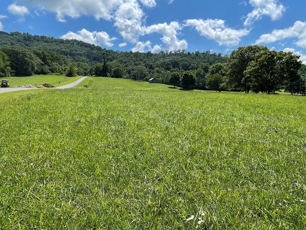 9 M Ridges Hayesville, NC 28904 - Photo 4 of 10