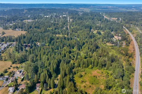 a view of a city with lush green forest