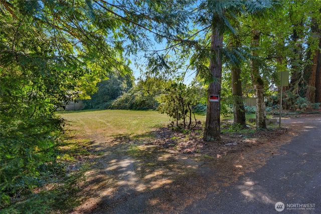 a view of a field with trees in the background