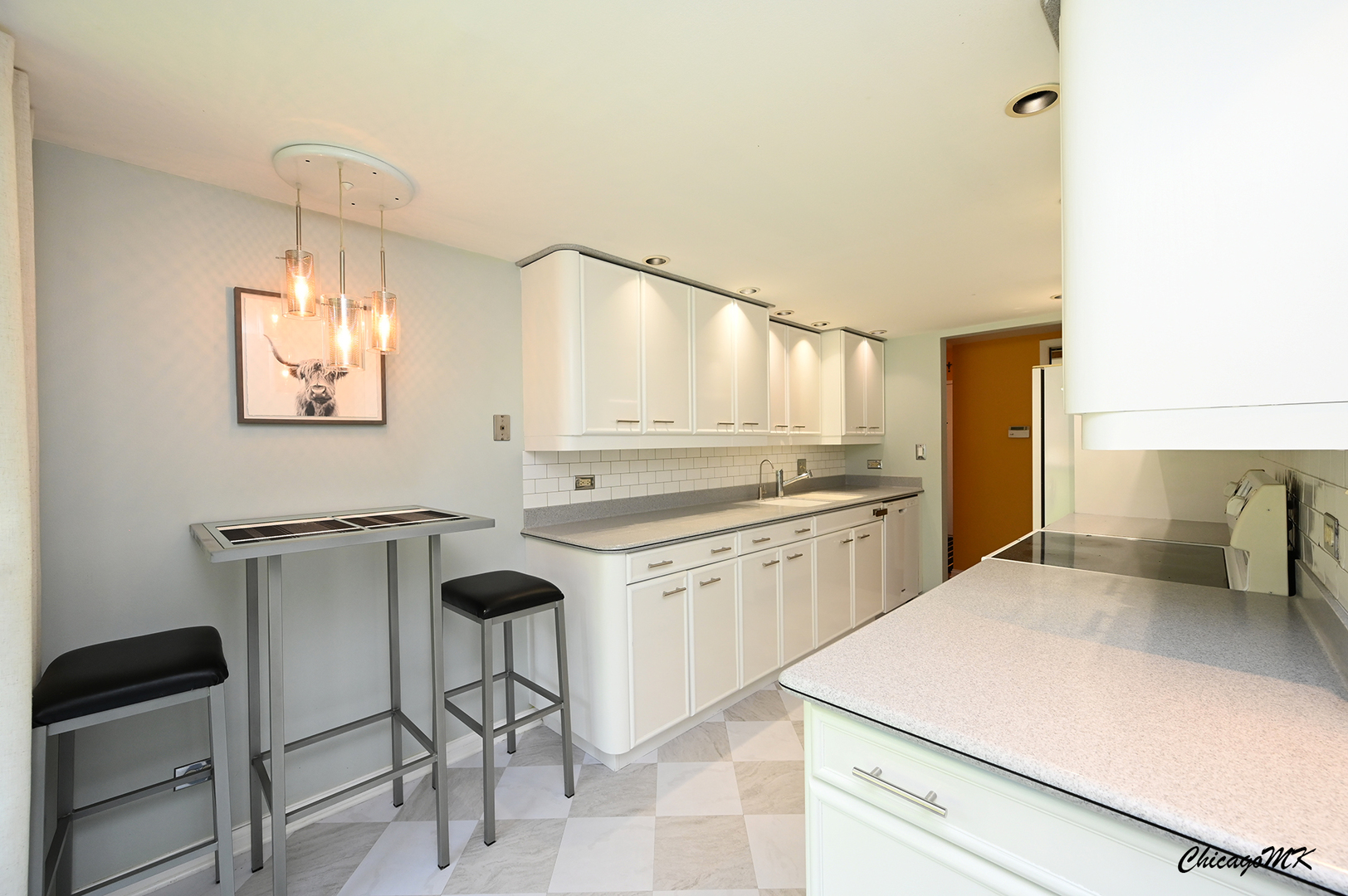 620 South York Road, Unit 101 Bensenville, IL 60106 - Photo 15 of 39 Gallery Image 15