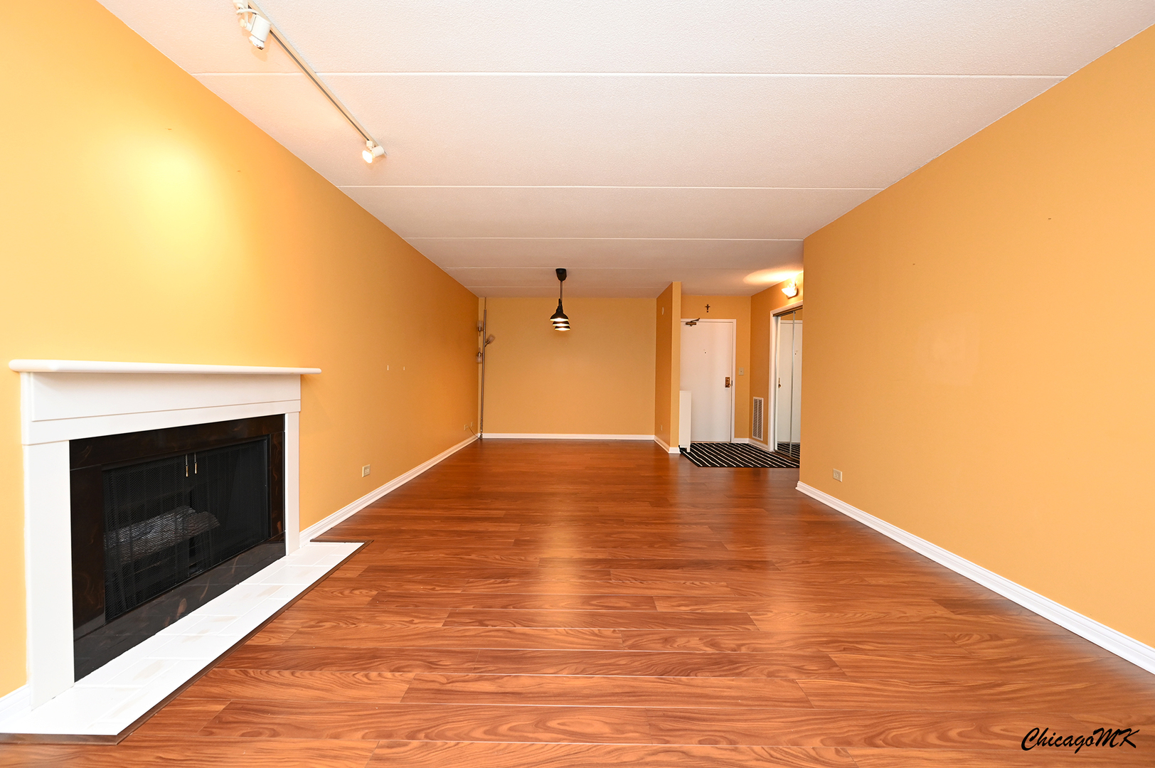 620 South York Road, Unit 101 Bensenville, IL 60106 - Photo 4 of 39 Gallery Image 4