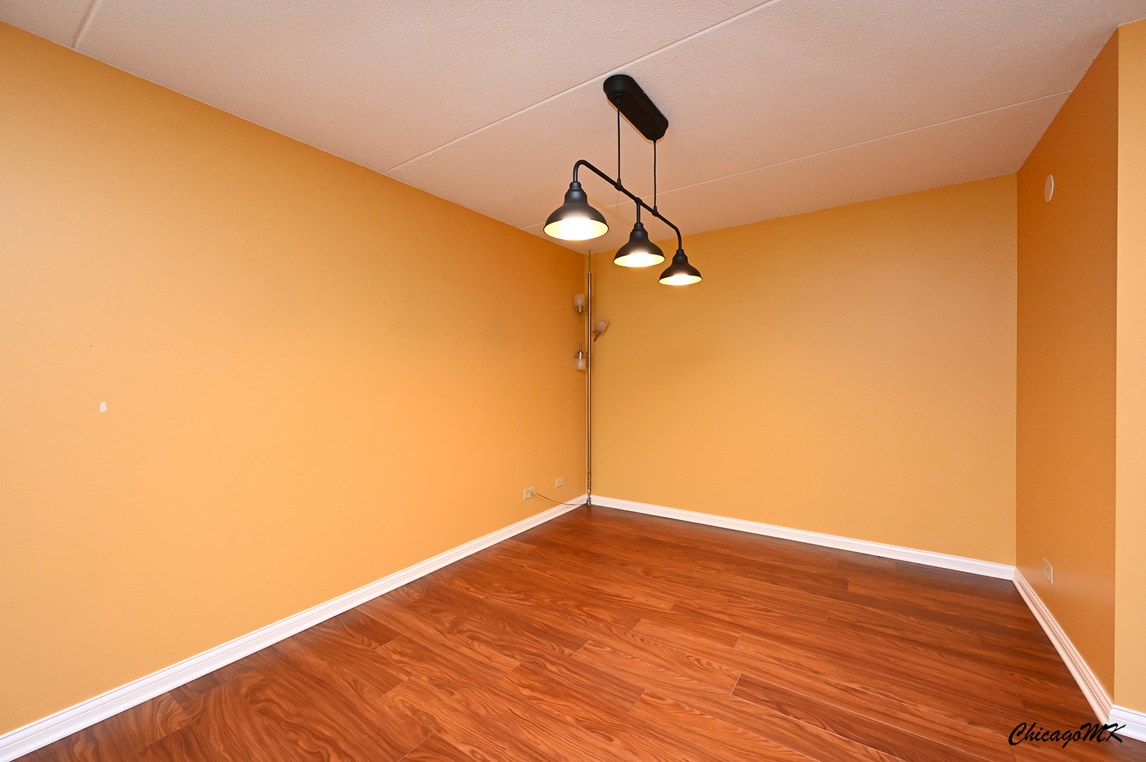 620 South York Road, Unit 101 Bensenville, IL 60106 - Photo 6 of 39 Gallery Image 6