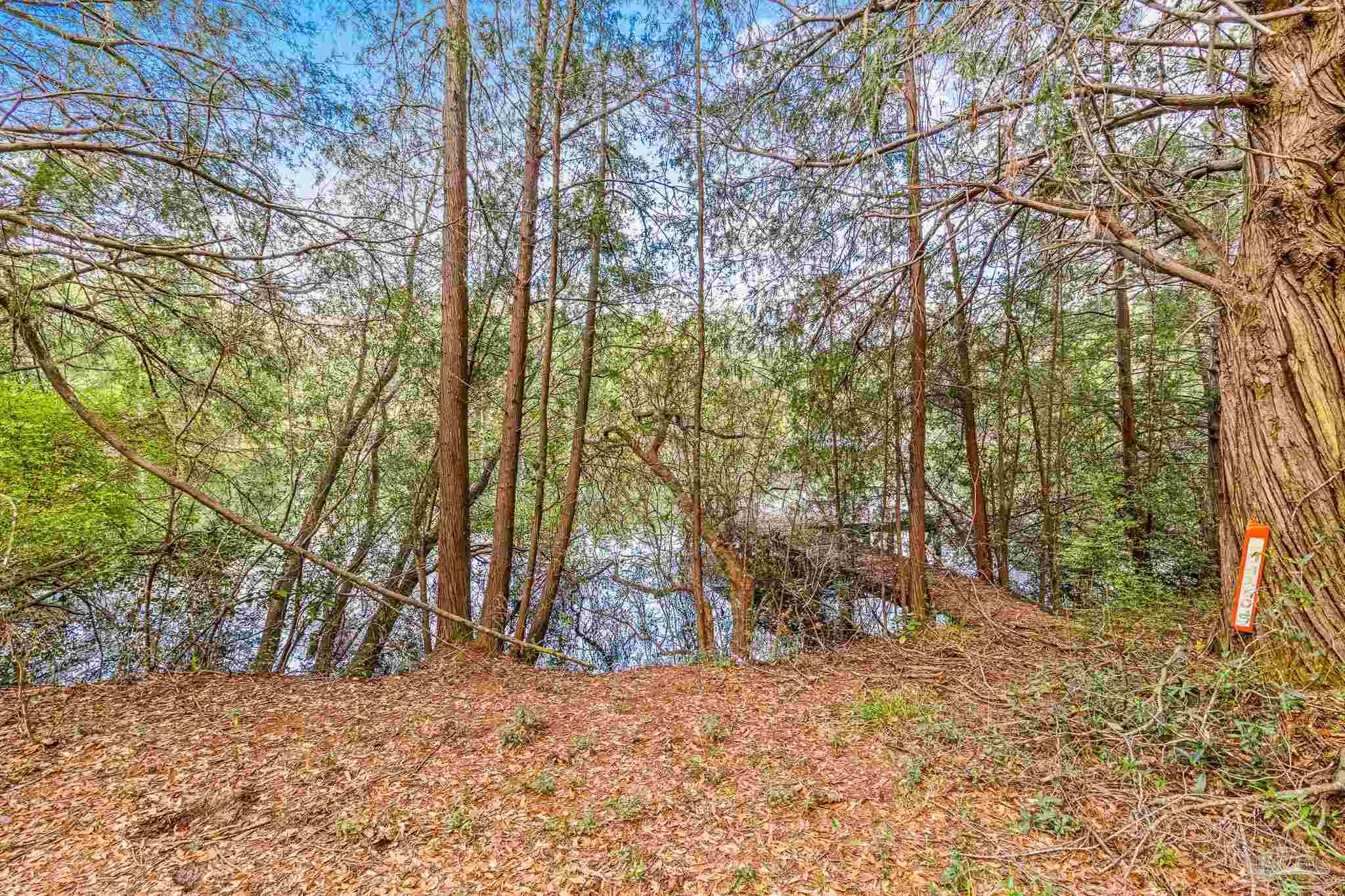 5169 East Lake Road Milton, FL 32583 - Photo 12 of 19 Gallery Image 12