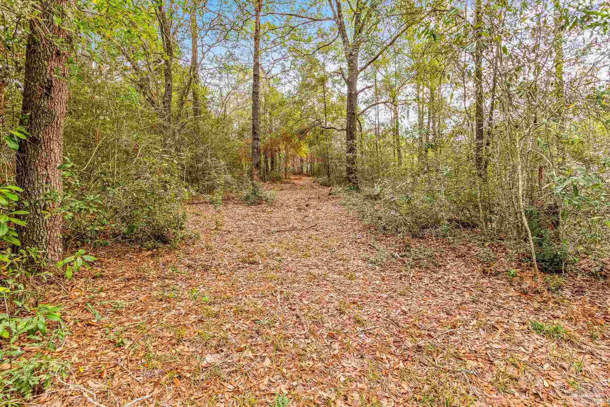 5169 East Lake Road Milton, FL 32583 - Photo 15 of 19 Gallery Image 15