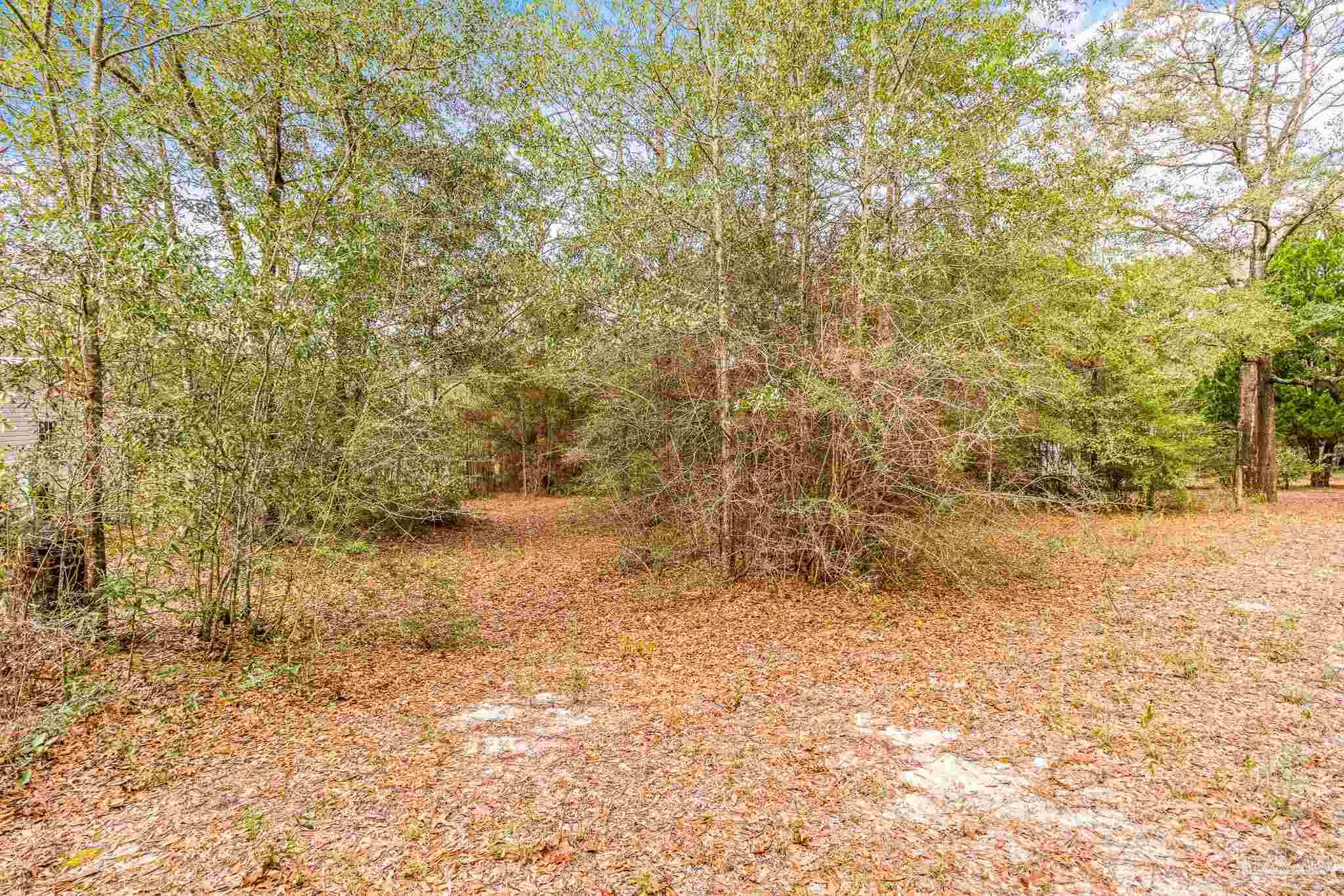 5169 East Lake Road Milton, FL 32583 - Photo 5 of 19 Gallery Image 5