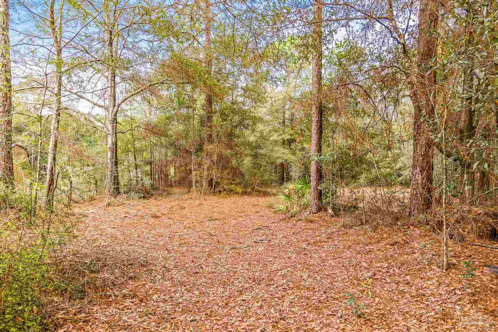 5169 East Lake Road Milton, FL 32583 - Photo 6 of 19 Gallery Image 6