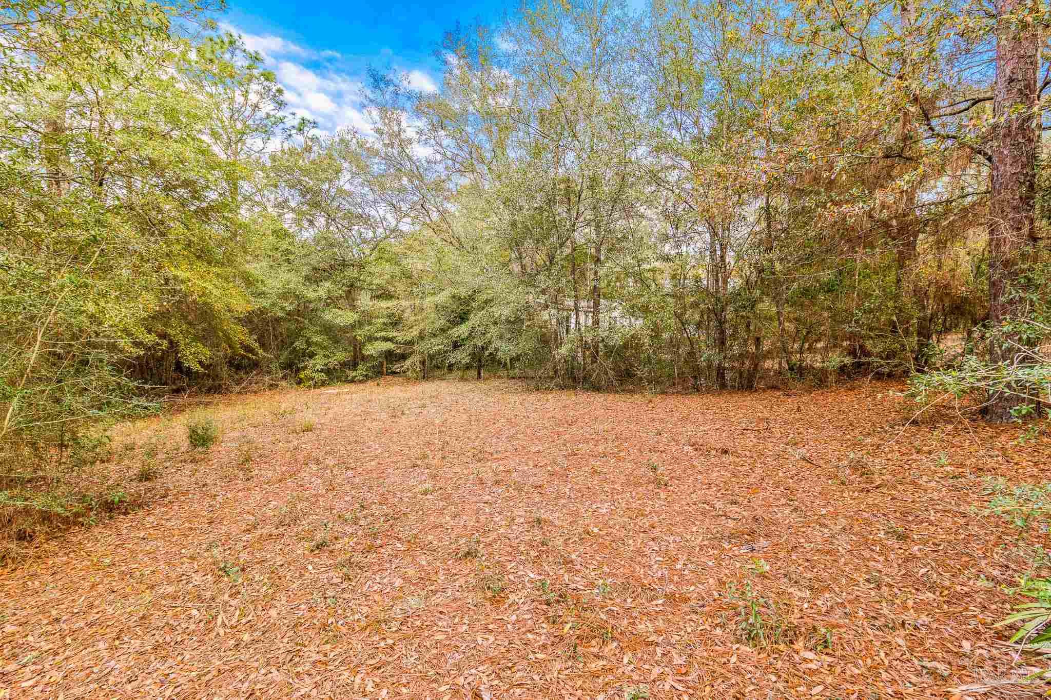5169 East Lake Road Milton, FL 32583 - Photo 7 of 19 Gallery Image 7