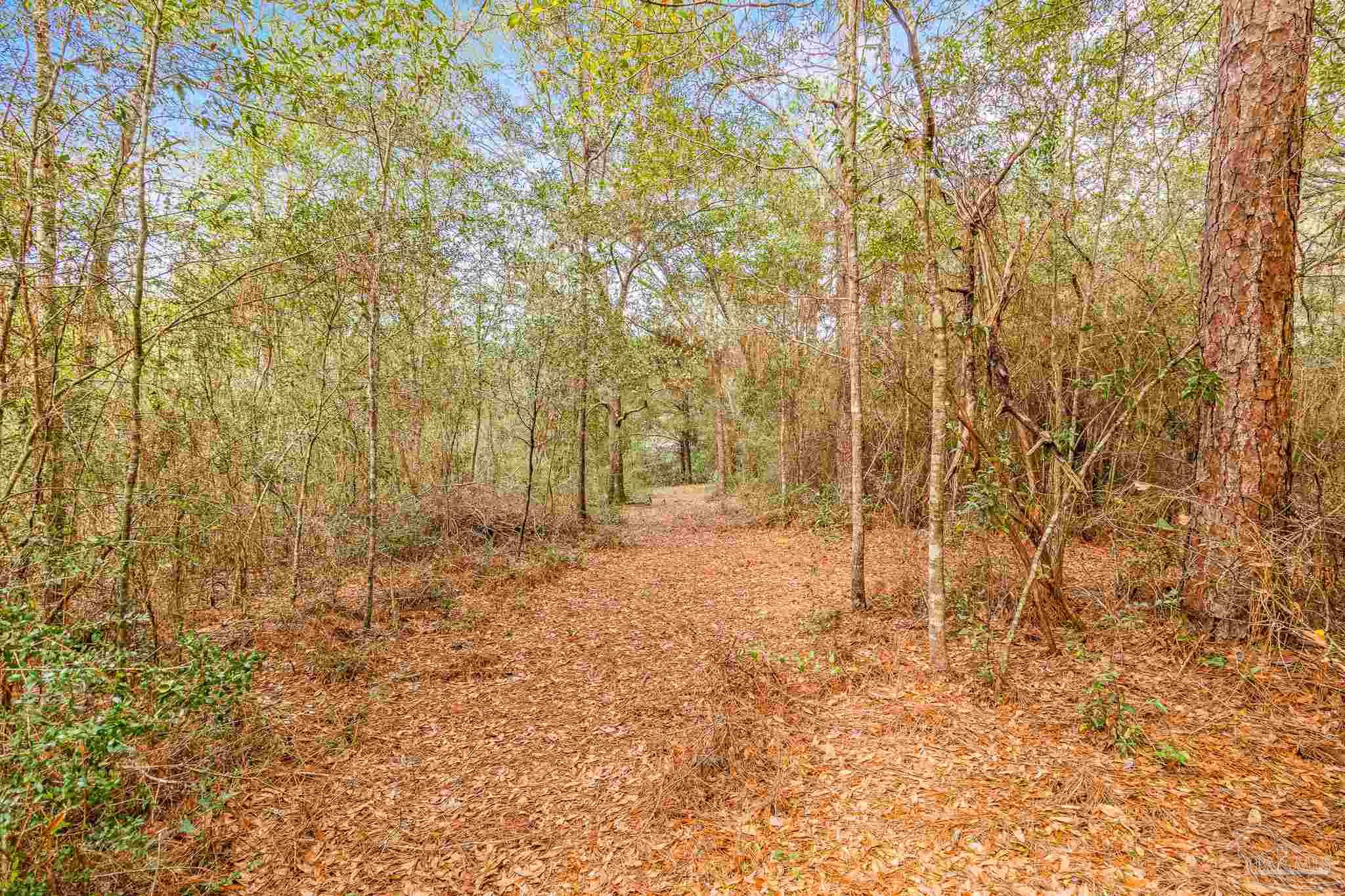5169 East Lake Road Milton, FL 32583 - Photo 8 of 19 Gallery Image 8