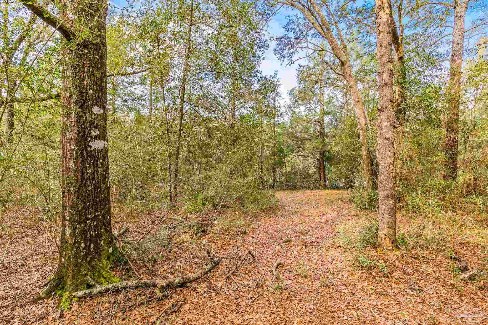 5169 East Lake Road Milton, FL 32583 - Photo 9 of 19 Gallery Image 9