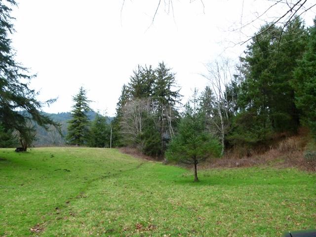 Tl#1008 Bel Air Road Cloverdale, OR 97112 - Photo 19 of 20 P1080405