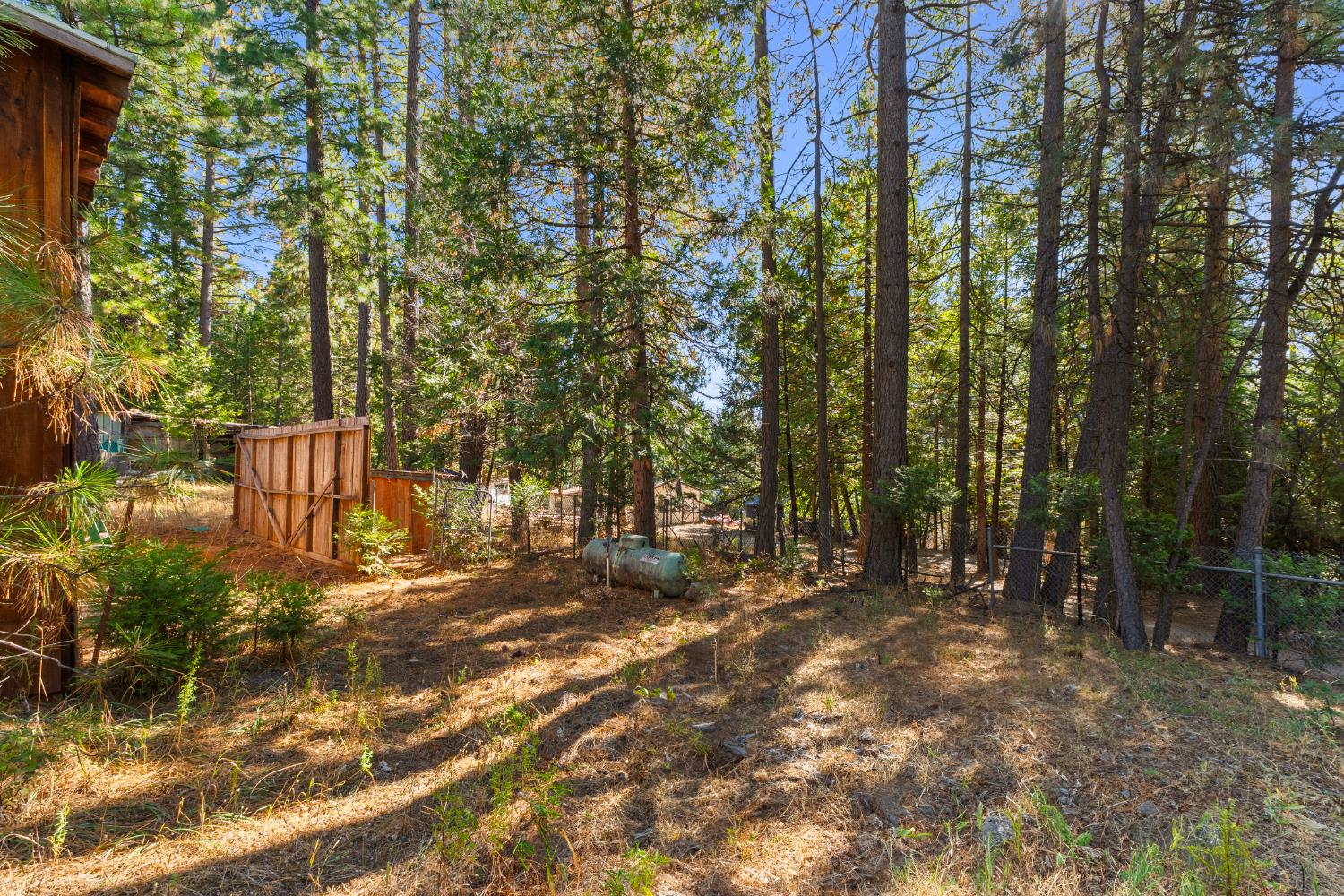5983 Sly Park Road Placerville, CA 95667 - Photo 27 of 36 a view of outdoor space with trees