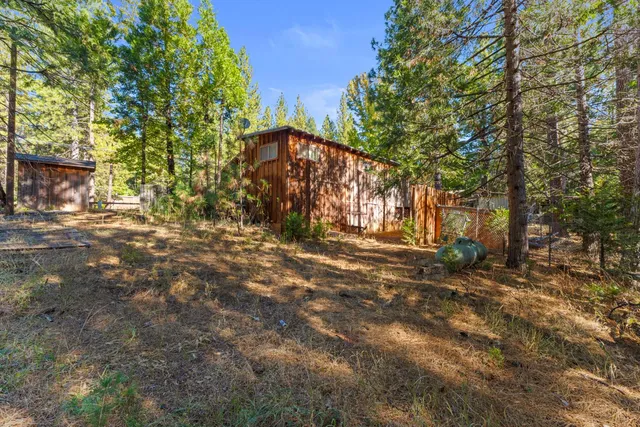 a view of a yard with plants and trees