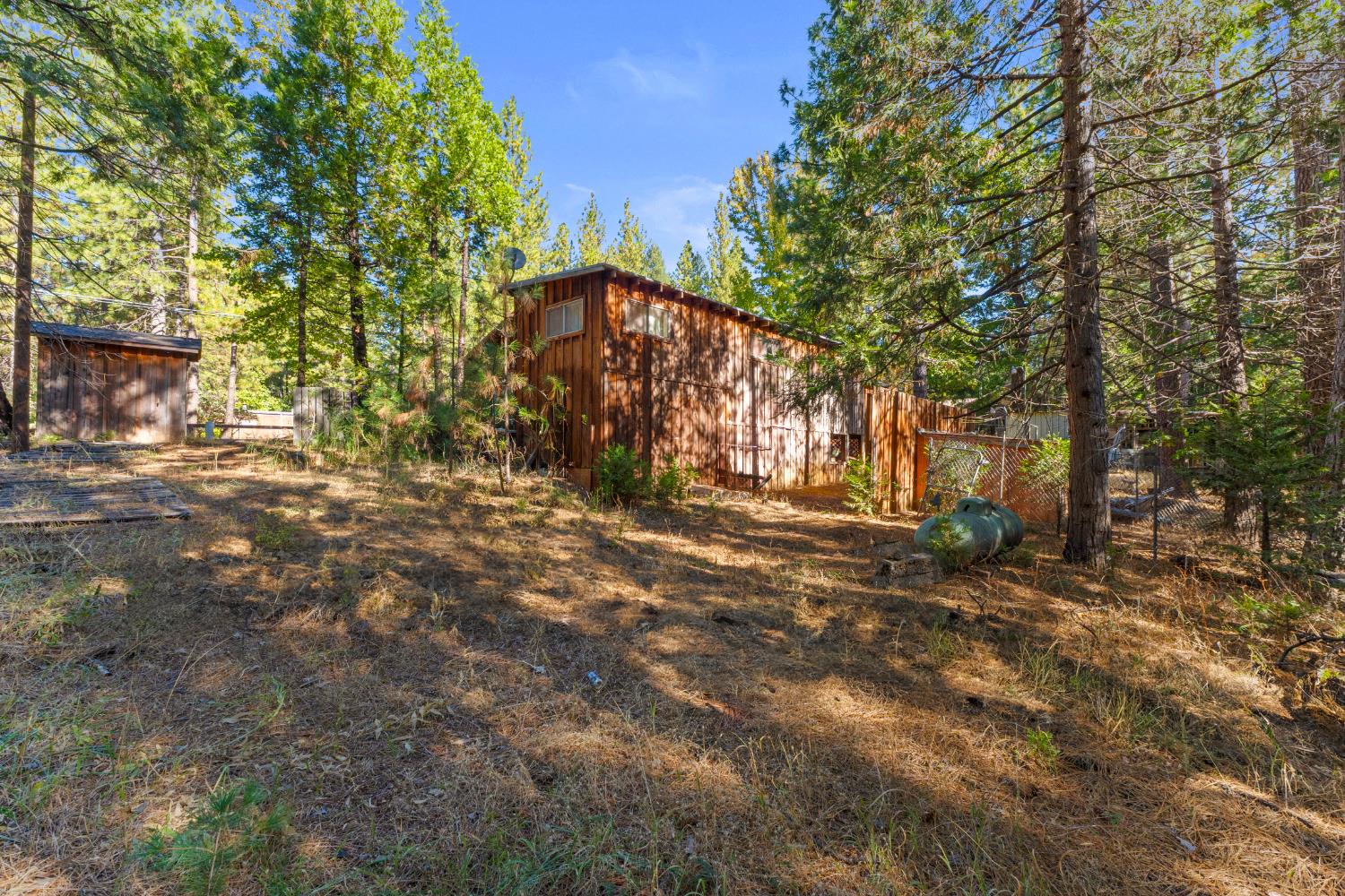 5983 Sly Park Road Placerville, CA 95667 - Photo 28 of 36 a view of a yard with plants and trees