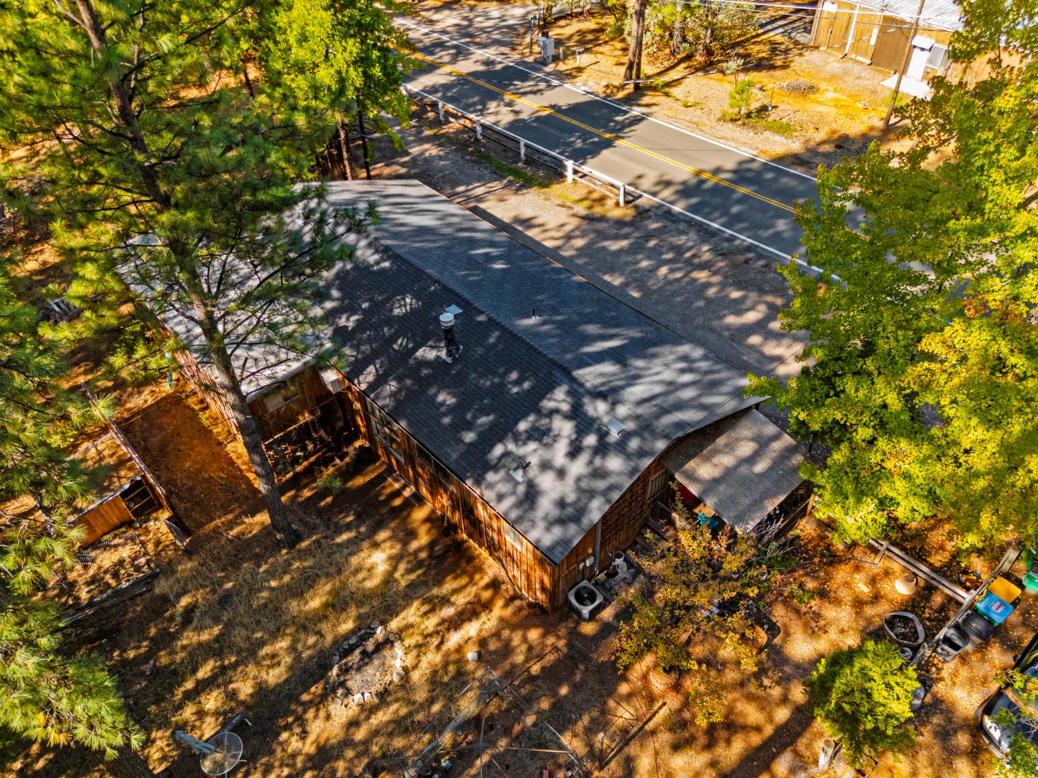 5983 Sly Park Road Placerville, CA 95667 - Photo 36 of 36 a picture of tree